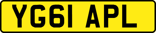 YG61APL