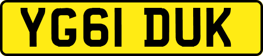 YG61DUK