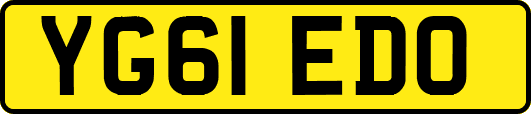 YG61EDO