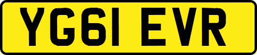 YG61EVR