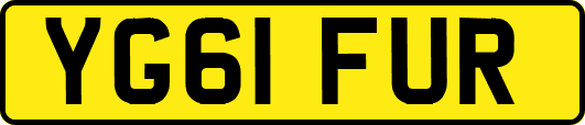 YG61FUR