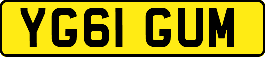 YG61GUM