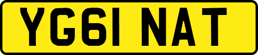 YG61NAT