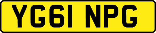 YG61NPG