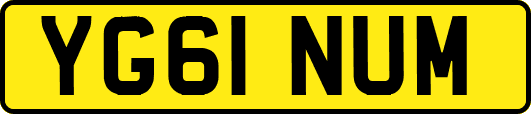 YG61NUM