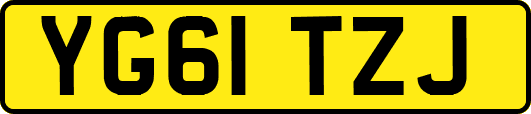 YG61TZJ