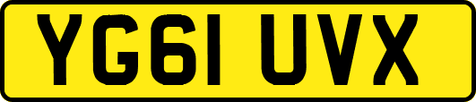 YG61UVX