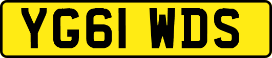 YG61WDS