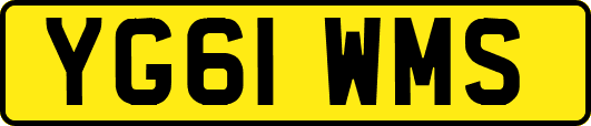 YG61WMS