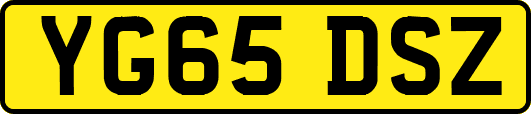 YG65DSZ