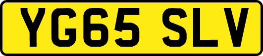 YG65SLV