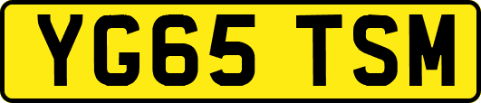 YG65TSM
