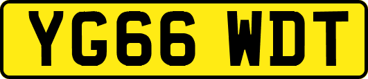 YG66WDT