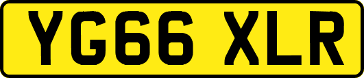 YG66XLR