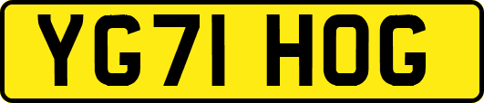 YG71HOG