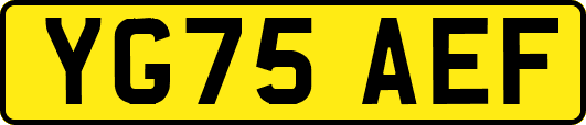 YG75AEF