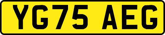 YG75AEG