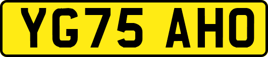 YG75AHO