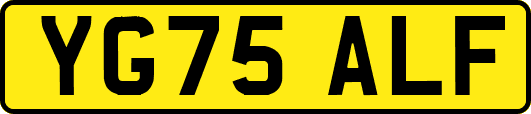 YG75ALF