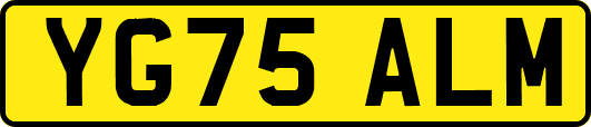 YG75ALM
