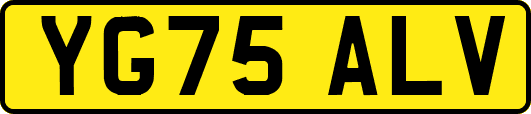 YG75ALV
