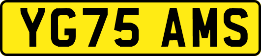 YG75AMS