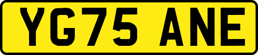 YG75ANE