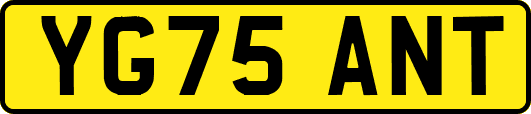 YG75ANT