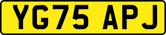 YG75APJ