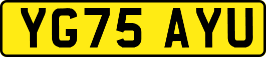YG75AYU