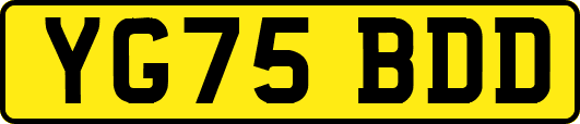 YG75BDD