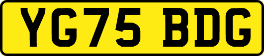 YG75BDG