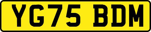YG75BDM