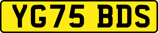 YG75BDS