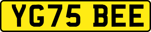 YG75BEE