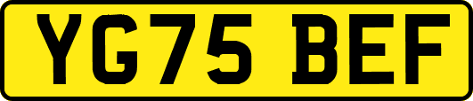 YG75BEF
