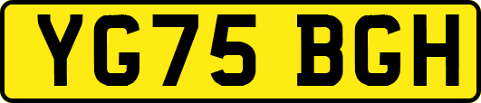 YG75BGH