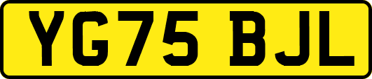 YG75BJL