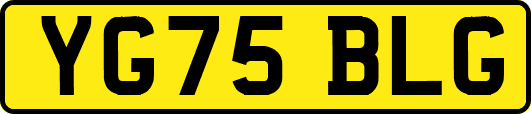 YG75BLG