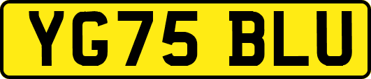 YG75BLU