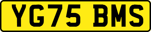 YG75BMS