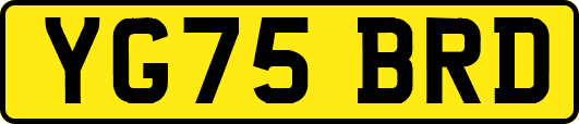 YG75BRD