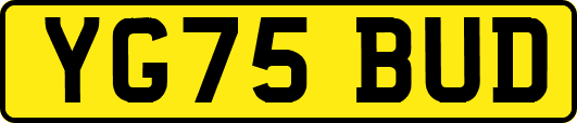 YG75BUD