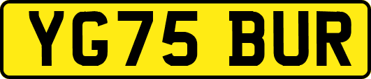 YG75BUR