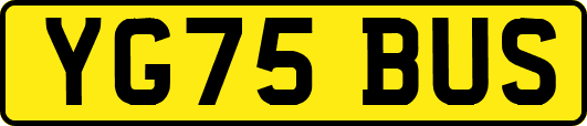YG75BUS