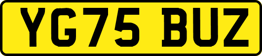 YG75BUZ
