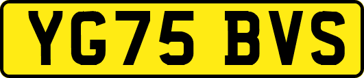 YG75BVS