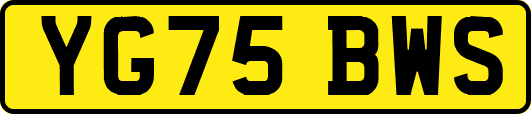 YG75BWS