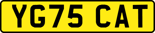 YG75CAT