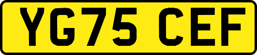 YG75CEF
